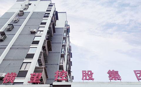 獻策“十四五”規劃編制，助力橫望集團高質(zhì)量發(fā)展