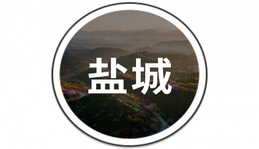   鹽城：設立30億的還貸過(guò)橋資金池、20億債務(wù)風(fēng)險化解周轉金