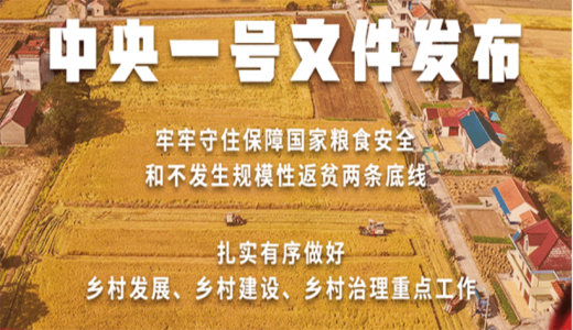 【2022年中央一號文件】穩住農業(yè)基本盤(pán) 接續全面推進(jìn)鄉村振興
