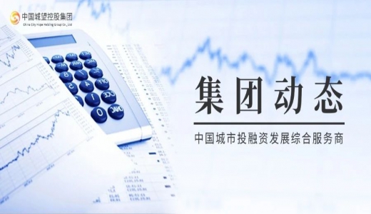 集團動(dòng)態(tài)丨協(xié)同國企展擔當，引領(lǐng)全區向未來(lái)——城望集團助力博政集團內部管控提質(zhì)增效
