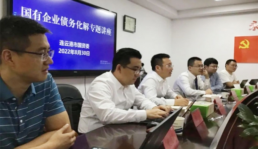 集團動(dòng)態(tài)丨城望集團應邀出席連云港市國資委國有企業(yè)債務(wù)化解專(zhuān)題講座